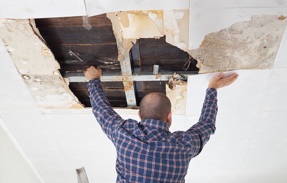 Understanding Water Damage Restoration: What It Is And Why It Matters