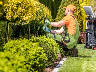 Eco-Friendly Landscaping