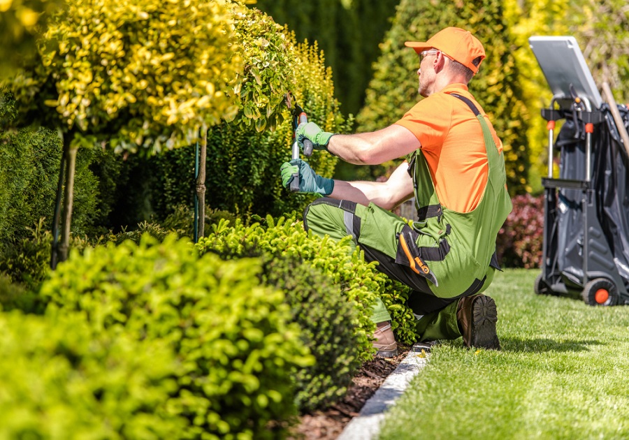 Eco-Friendly Landscaping